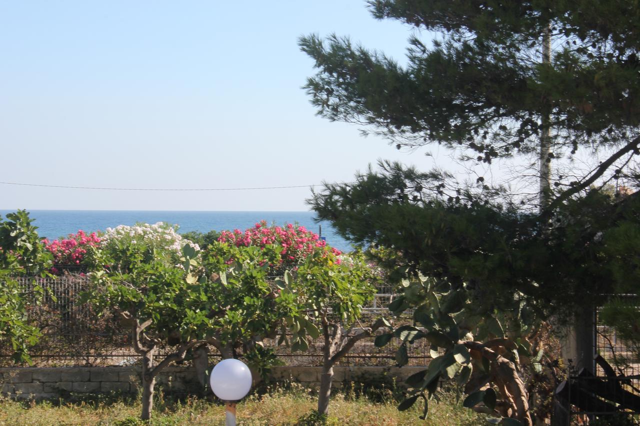 Trentatre Quarantatre Bed & Breakfast Mola di Bari Exterior photo